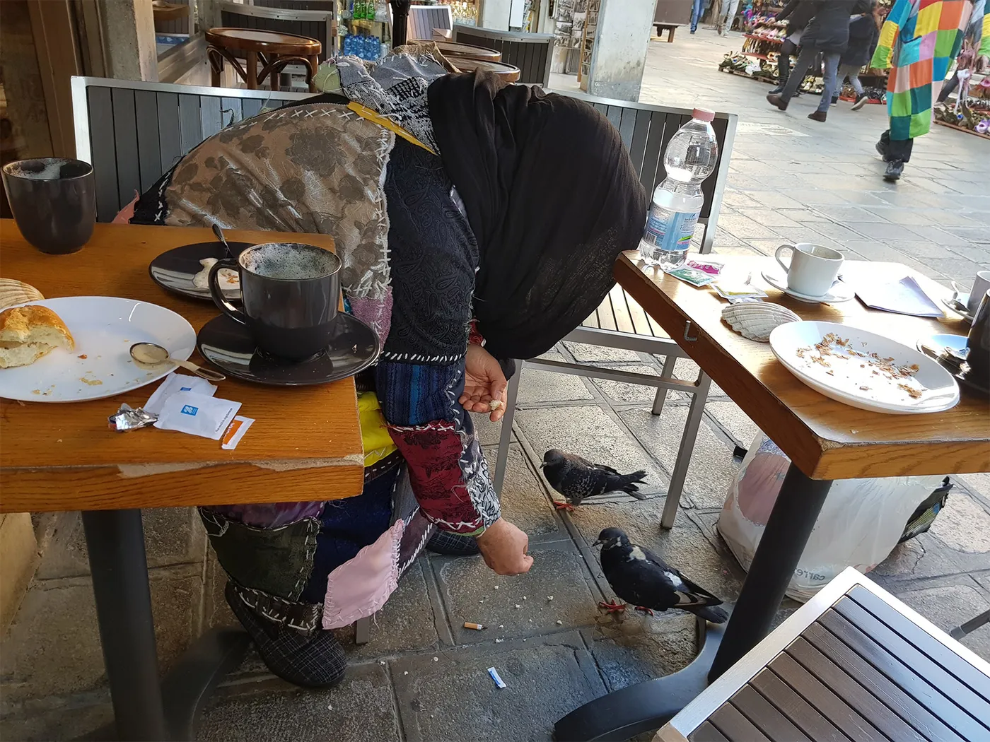 الطيور، أصدقاء سيدي الشيخ في البندقية