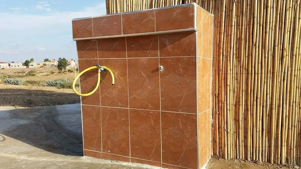 جولة في الزاوية الأم الجديدة