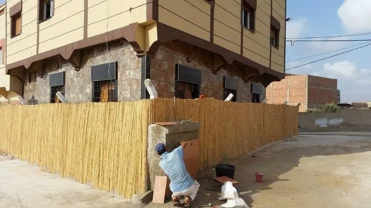 جولة في الزاوية الأم الجديدة